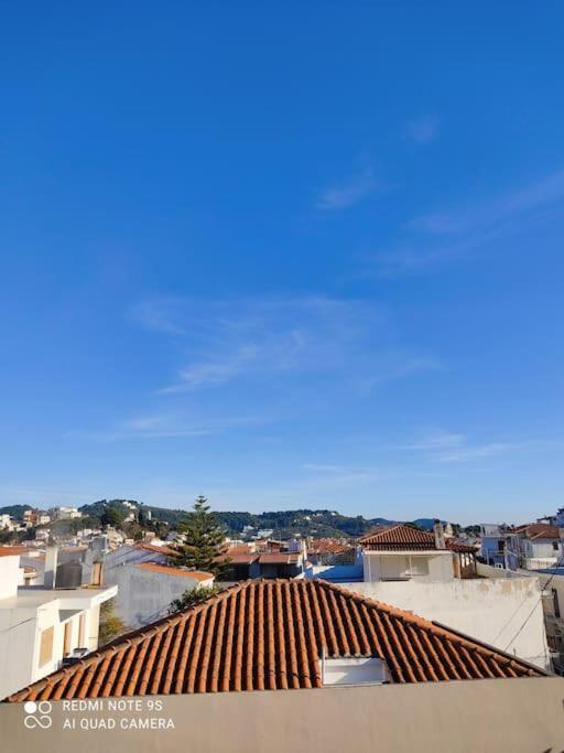 Bozikis House! A Cosy Apartment In The City Centre Skiathos Exterior photo